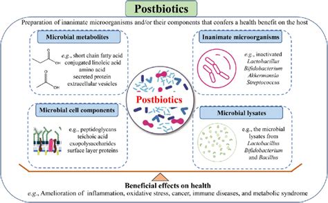 Schematic Representation Of The Scope Of Postbiotics Including Download Scientific Diagram