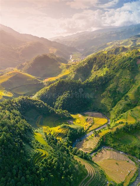 Aerial View Of Golden Rice Terraces At Mu Cang Chai Town Near Sapa City