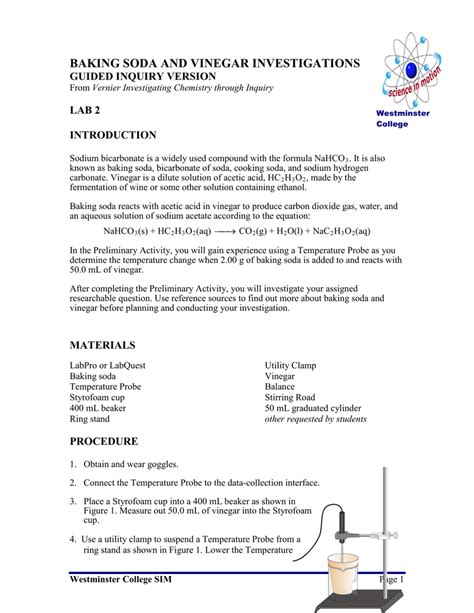 BAKING SODA AND VINEGAR INVESTIGATIONS GUIDED INQUIRY VERSION LAB 2