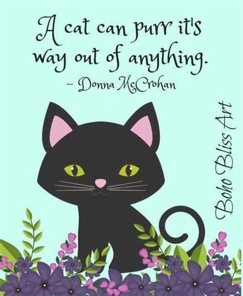 Pin By Shannon Shreeve On A Cats Cat Quotes Cat Quotes Funny Wall