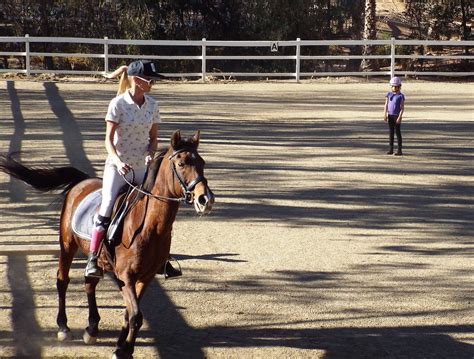 horseback riding lessons near encinitas | Mega Arte Riding Academy Blog