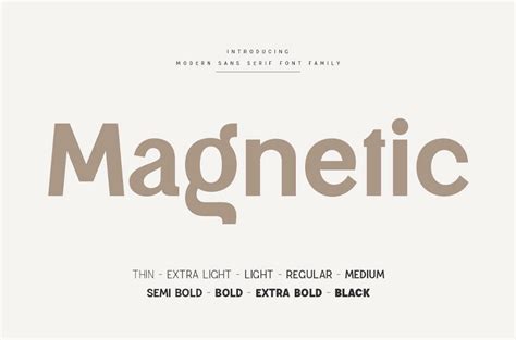 Magnetic Font Creative Fonts