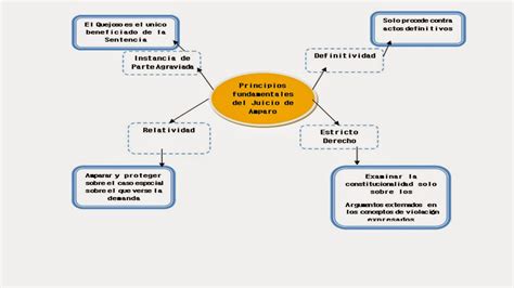 Principios Fundamentales Del Juicio De Amparo