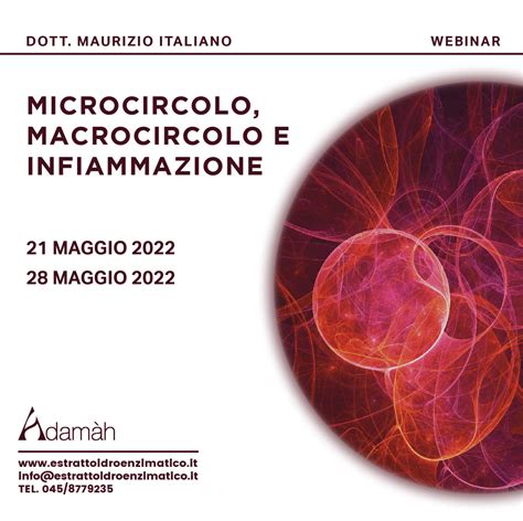 Microcircolo Macrocircolo E Infiammazione Adam H Estratti Idroenzimatici