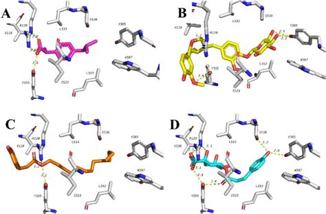 Docking Poses Of Celecoxib And Top Ranked Compounds With Cox 1 Showing Download Scientific