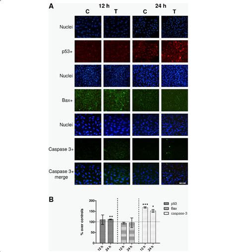 Immunofluorescence A Immunofluorescence For P53 Bax And Caspase 3 At