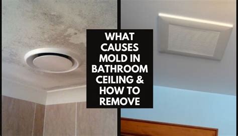 What Causes Mold In Bathroom Ceiling How To Remove