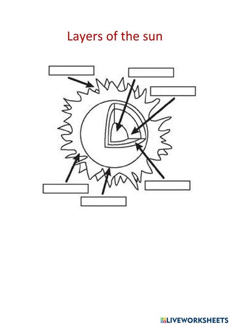 Layers Of The Sun Worksheet in 2023 | Sun diagram, 1st grade worksheets, Sun activity