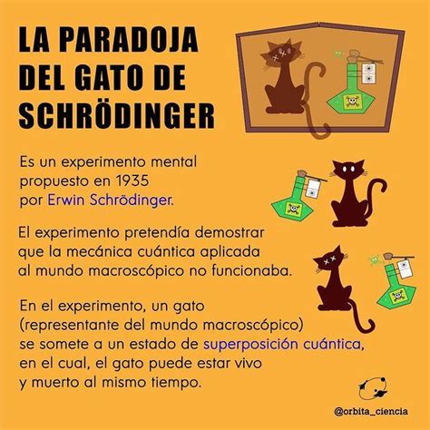 El Gato De Schrodinger