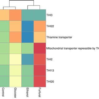 Thiamine biosynthesis pathway (KEGG) showing differentially expressed ...