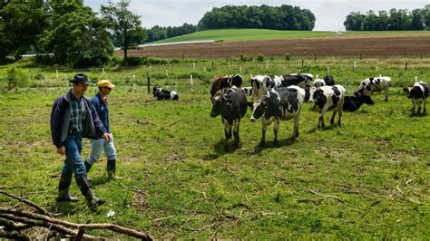 Partners Awarded Million To Restore Streams On Agricultural Lands