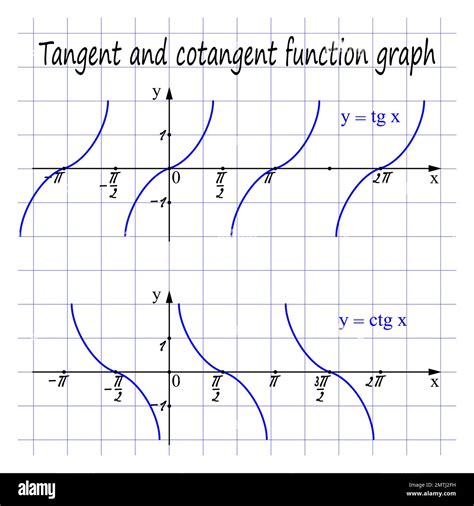 Gr Fico De Funci N Tangente Y Cotangente Ilustraci N Vectorial Imagen