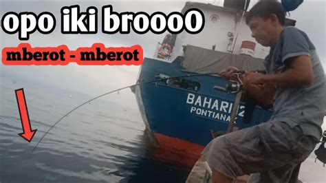 Mancing Cumi Di Pelabuhan Panjang Bandar Lampung Sambaran Keras