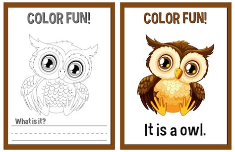 Free Vector Color Fun Owl Illustration And Activity