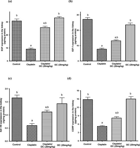 Effects Of Cisplatin And Indole Carbinol On The Expression Of Growth