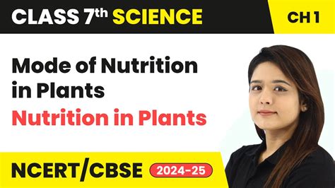 Mode Of Nutrition In Plants Nutrition In Plants Class Science