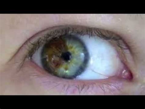 Video Para Cambiar Tu Color De Ojos YouTube Color De Ojos Cambiar