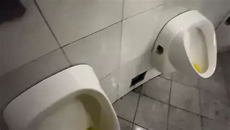 Free Gay Toilet Cruising Porn Videos XHamster