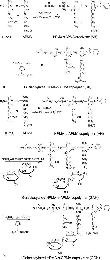 Scheme 1 Synthesis Of A Guanidinylated HPMA S APMA Copolymer GH