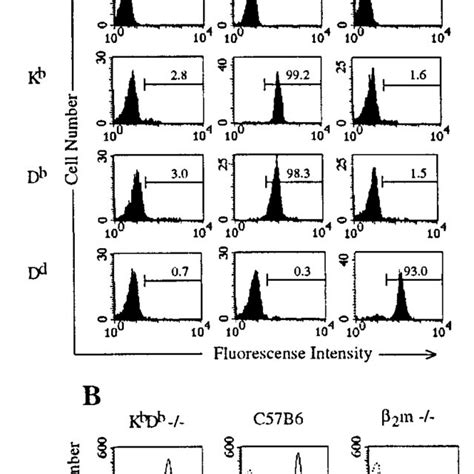 Cell Surface Expression Of Mhc Class Ia And Class Ib Molecules In K B D