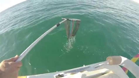 Pesca Del Choco Desde Barco En El Portil En La Costa De Huelva Youtube