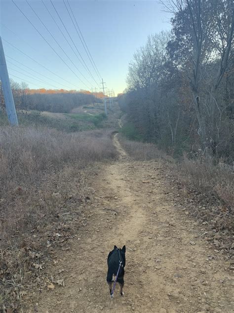 Endless miles of hiking at Turkey Mountain : r/tulsa