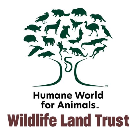 From active land management and science-driven research to enduring