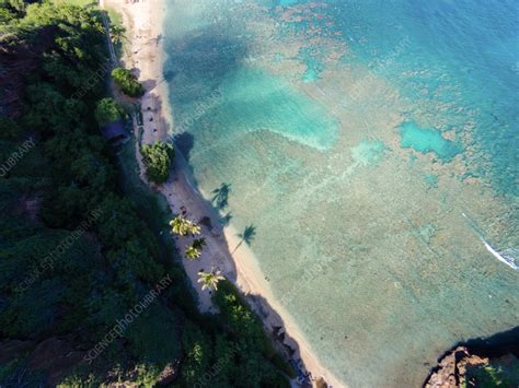 Aerial View Of Hanauma Bay Nature Preserve Oahu Hawaii Usa Stock