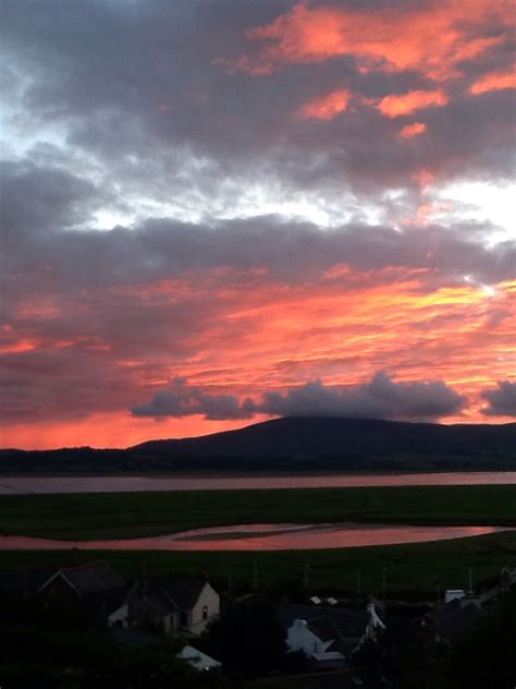 drawings  nature lost