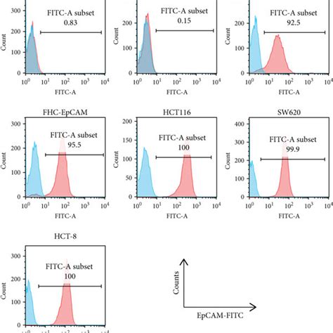 Persistence Of Nk 92 Cells In Vivo A Continuous Persistence Of Nk 92