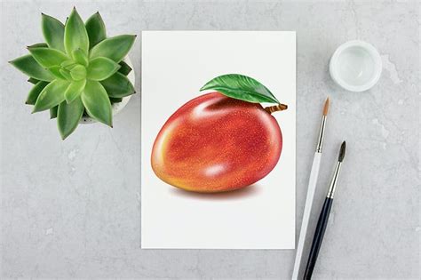 How to Draw a Mango - An Easy Mango Drawing Tutorial for Beginners