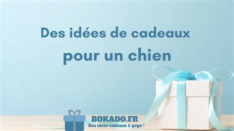 Id Es De Cadeaux Pour Un Chien Bokado Fr