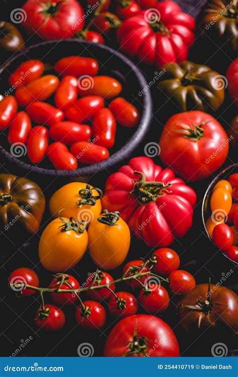 Tomatoes On The Table Tomatoes Of Different Varieties Stock Image