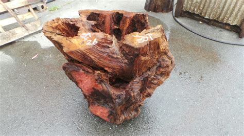 Rustic Table Bases – Redwood Burl Inc.