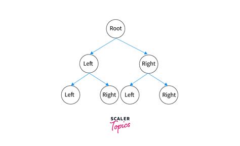 Binary Tree In C Types And Implementation Scaler Topics 165 Hot Sex