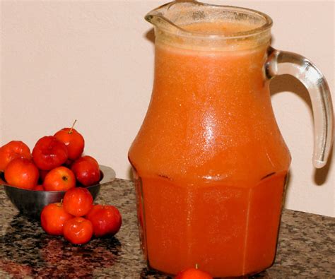 Suco De Acerola Benef Cios E Como Fazer