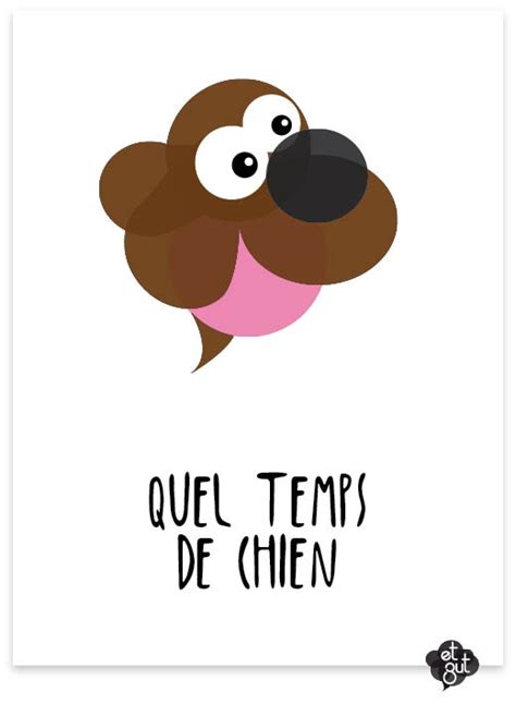 Et Zut Quel Temps De Chien Teaching French French Expressions