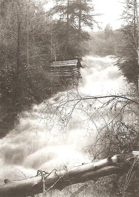 Logging in Rabun County – Rabun County Historical Society