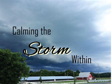Storm Within Quotes 2