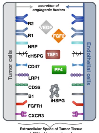 Schematic Of The Tumor Tissue Based Model The Compartmental Model