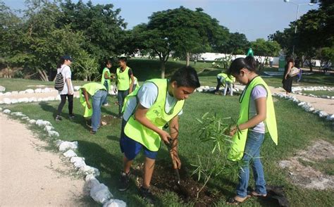 Ni Os Reforestan Parque Ecol Gico Del Poniente Grupo Sipse