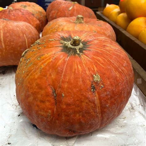 Kabocha Squash Soup For A Hearty Bite Of Fall 🍲 Derivative Dishes 🍝