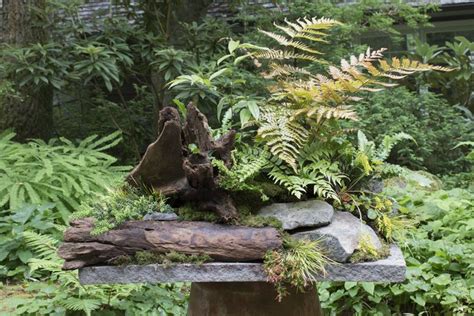 Richie Steffen Shares Tips For Creating A Calming Fern Table The