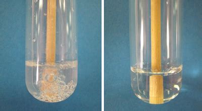 Catalase Test Purpose Principle Biochemistry Procedure Result