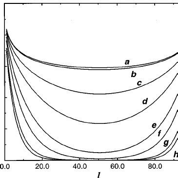 Magnetization profiles for the d ϭ 2 Ising film of width L ϭ 100