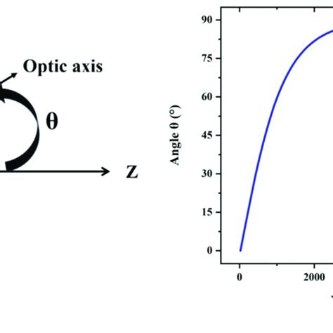 A The Arrangement Of Liquid Crystal Molecules Under An External