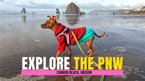 Our Pnw New Years Adventure 2023 Cannon Beach Oregon Yes Where