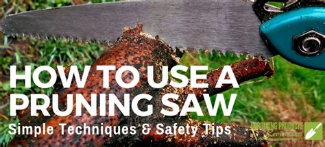 How To Use A Pruning Saw Technique Safety Tips Gardening Products