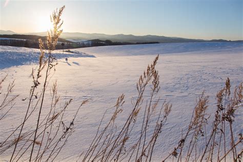 Bildet landskap hav tre natur sand myr villmark fjell snø