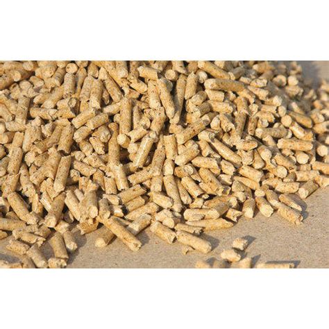 Industrial Wooden Pellets At Rs Kilogram Wood Pellets In Vadodara